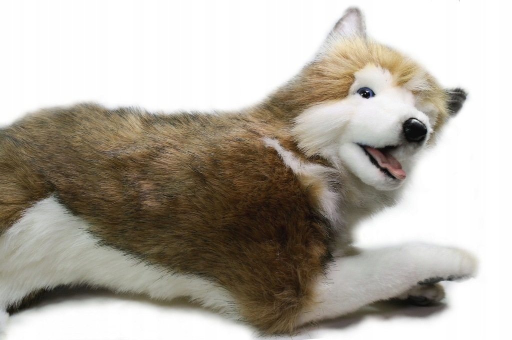 MASKOTKA PLUSZAK PIES PIESEK HUSKY JAK ŻYWY 40cm