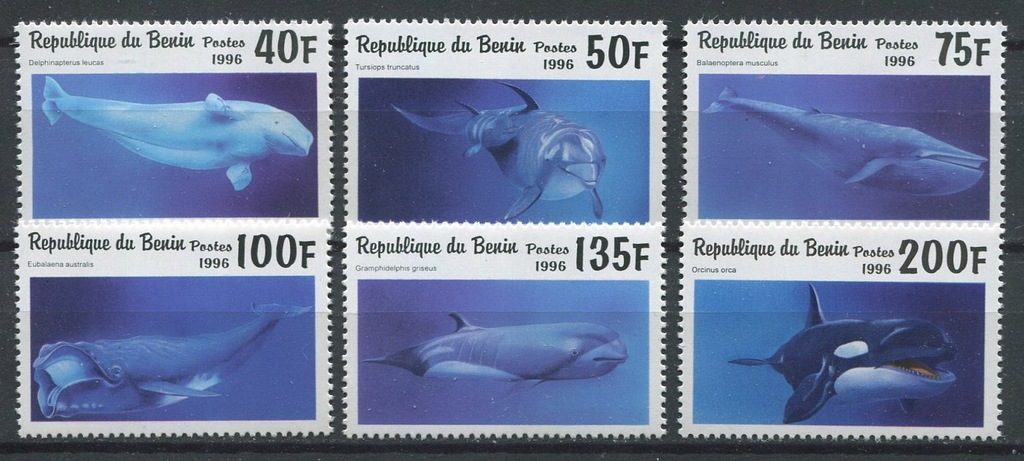 Benin ** Wieloryby