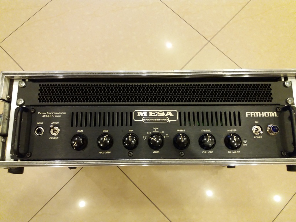 mesa boogie fathom 600