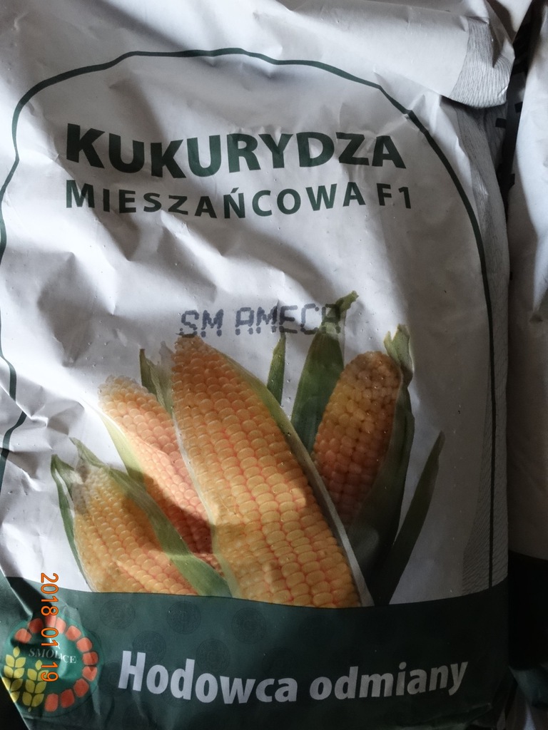 Kukurydza siewna SM AMECA 50tys.nasion