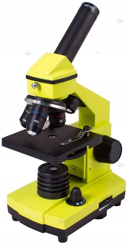 Mikroskop Levenhuk Rainbow 2L PLUS LimeLimonowy #M