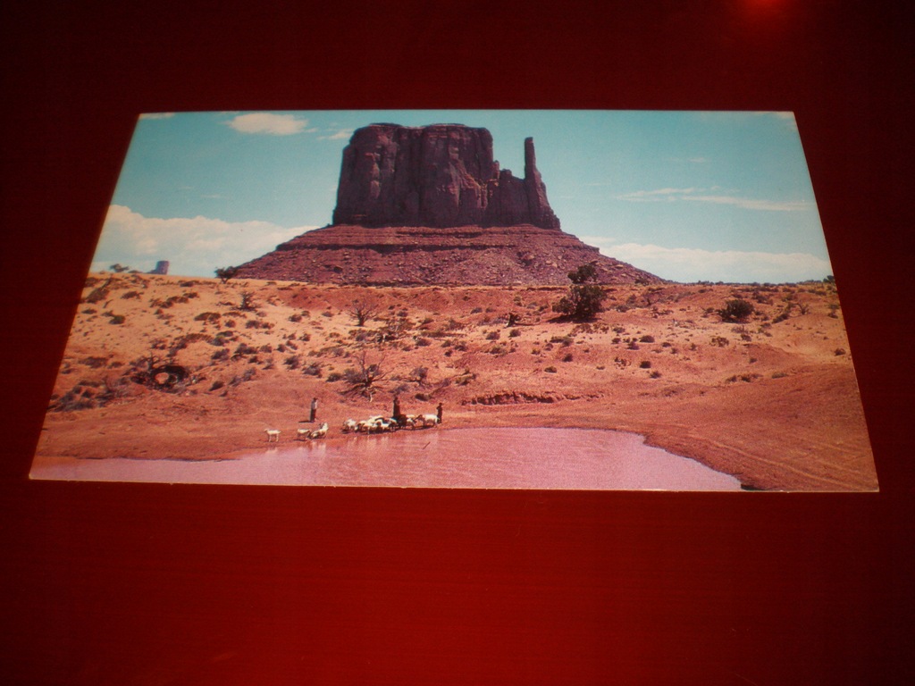 Rezerwat Navajo - USA - konie