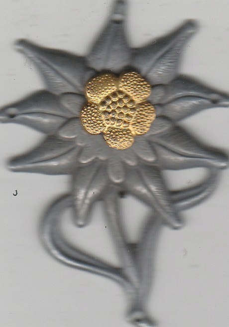 Szarotka - symbol strzelców Podhalańskich