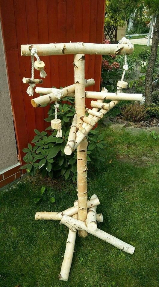 Stojak dla papug z naturalnej brzozy