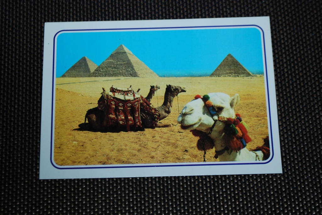 Pocztówka EGYPT Giza Piramidy