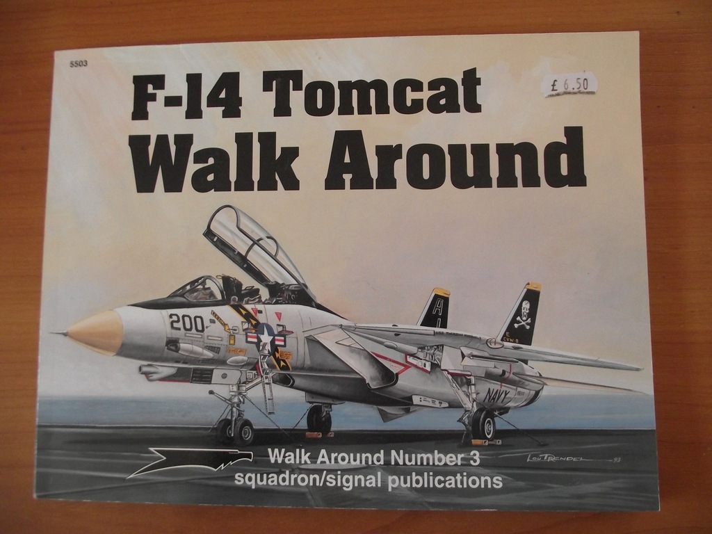 WALK AROUND F-14 TOMCAT - SQUADRON/SIGNAL POLECAM!