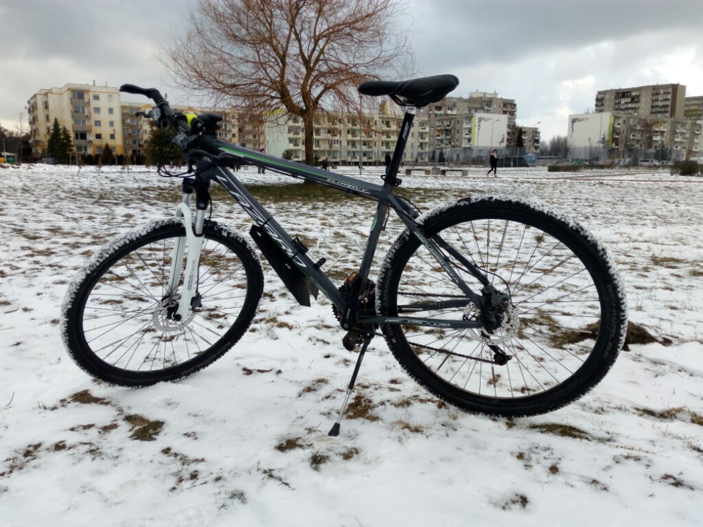 Rower Lazaro Elitary Cross Alivio 19 grafit