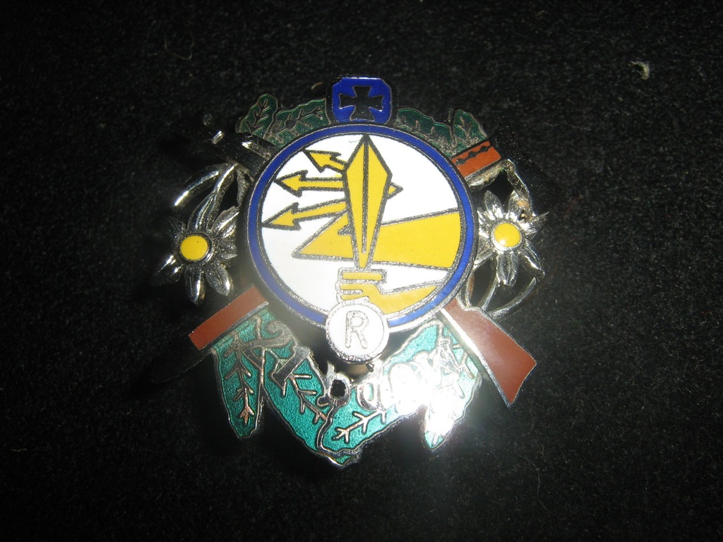 21 BATALION DOWODZENIA RZESZÓW