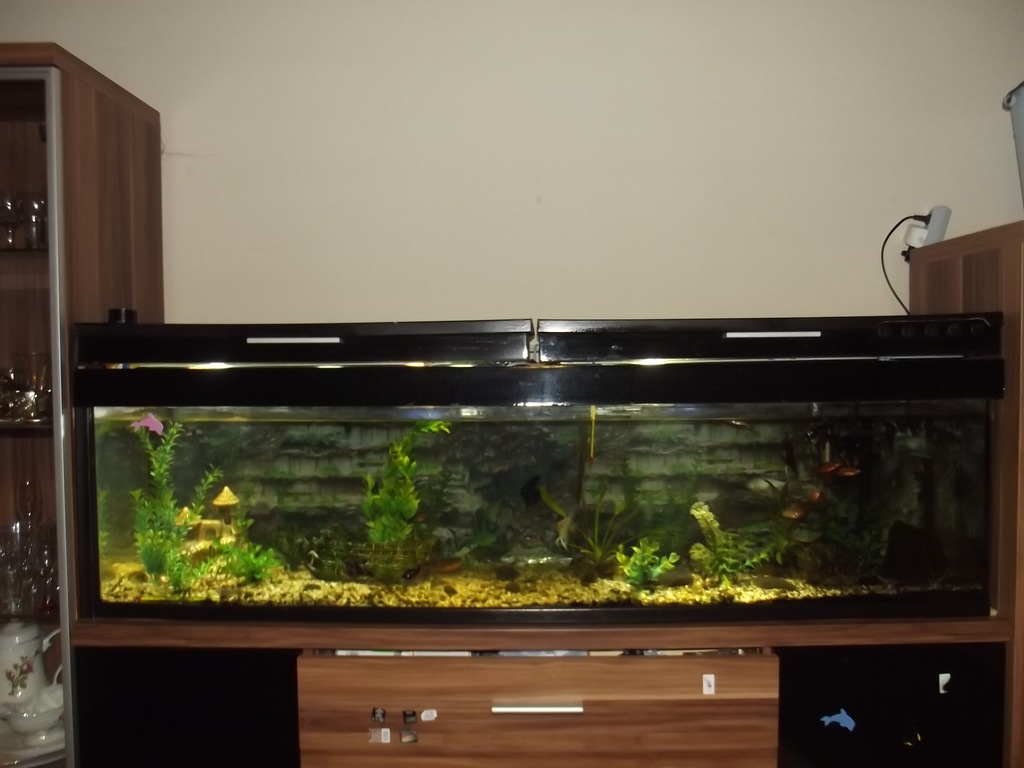 Zestaw Akwarium 200l