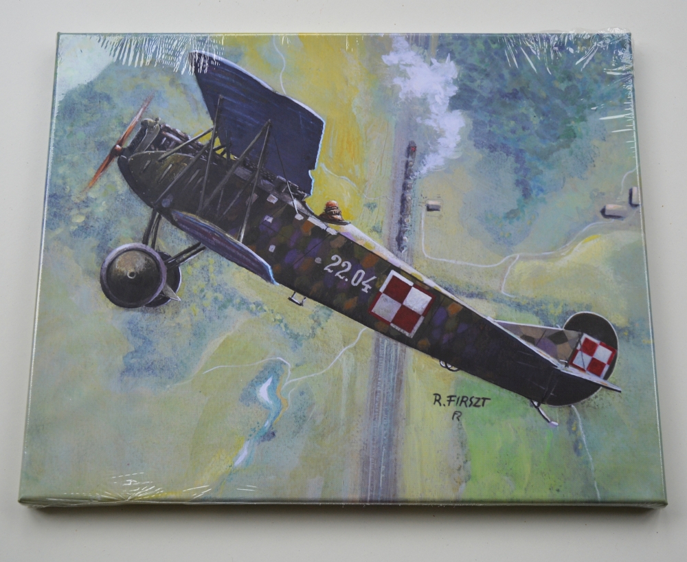 Obraz - reprodukcja na płótnie -Fokker DVII