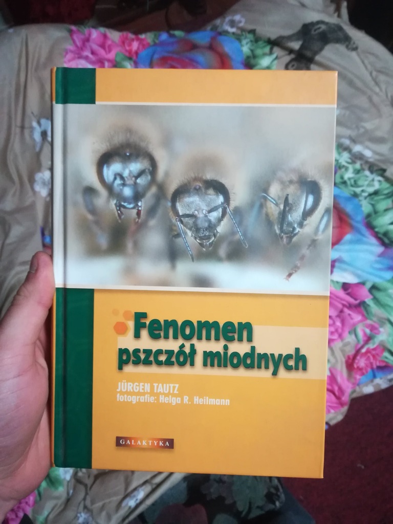 Fenomen Pszczół Miodnych
