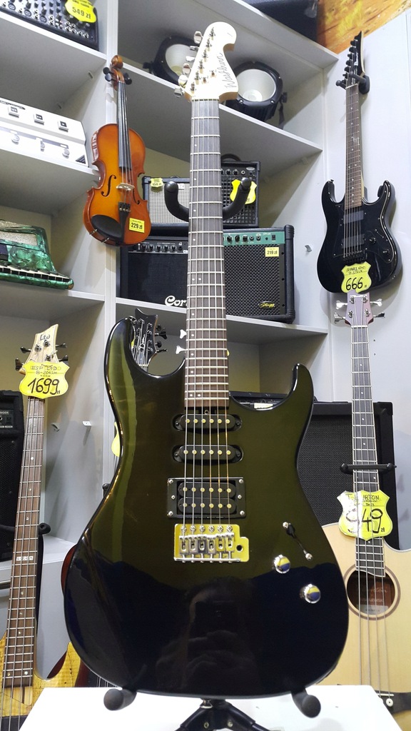 Washburn Pro X10 Xseries Lombard66 7683027000 oficjalne archiwum