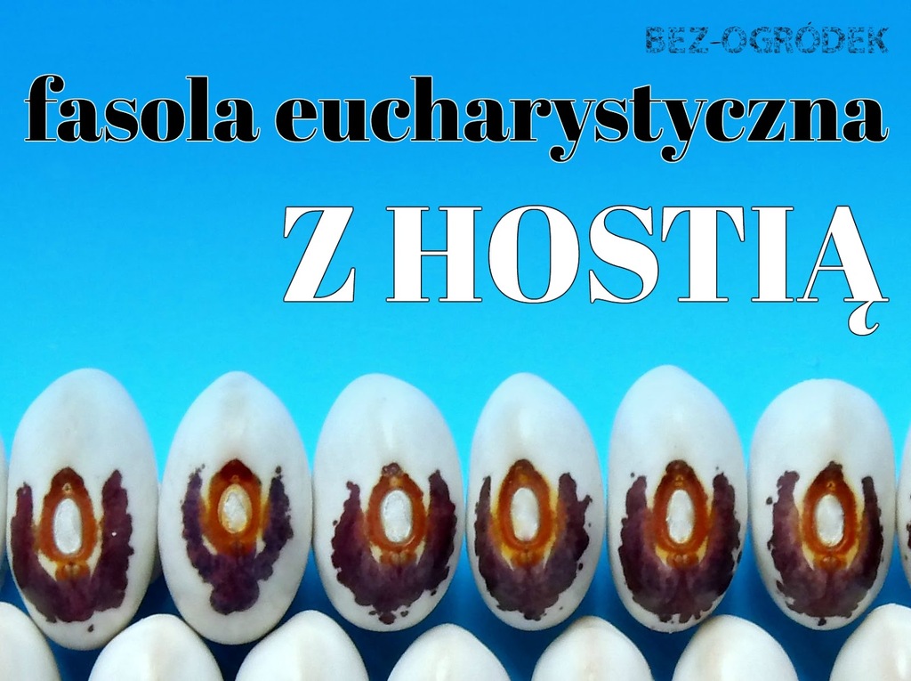 Fasola eucharystyczna