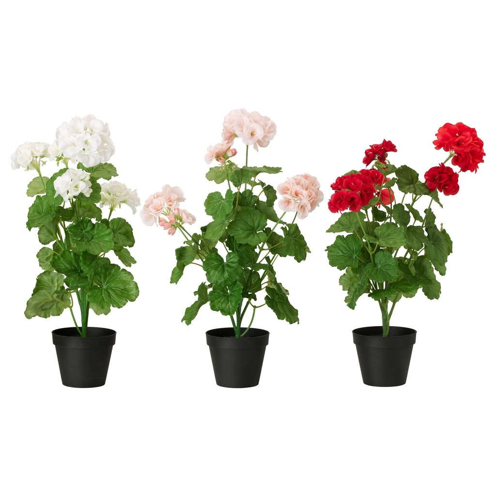 IKEA FEJKA Sztuczna roślina doniczkowa, pelargonia