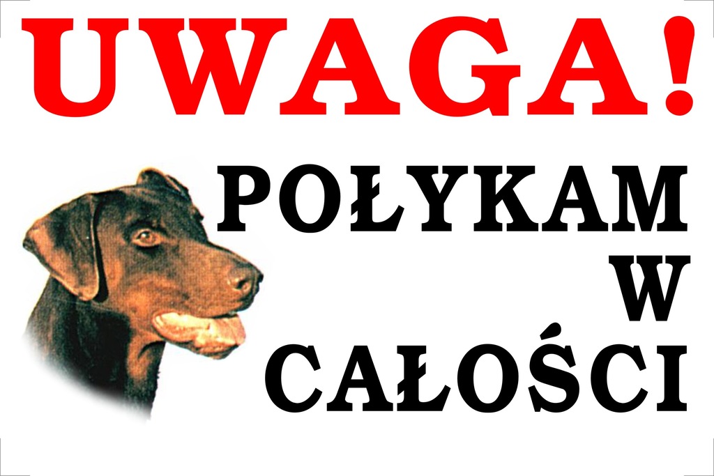 Tabliczka Pies połykam w całości 40x30cm #269