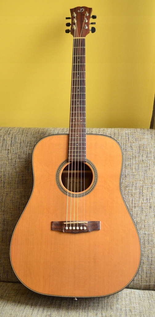 Gitara akustyczna DOWINA D555