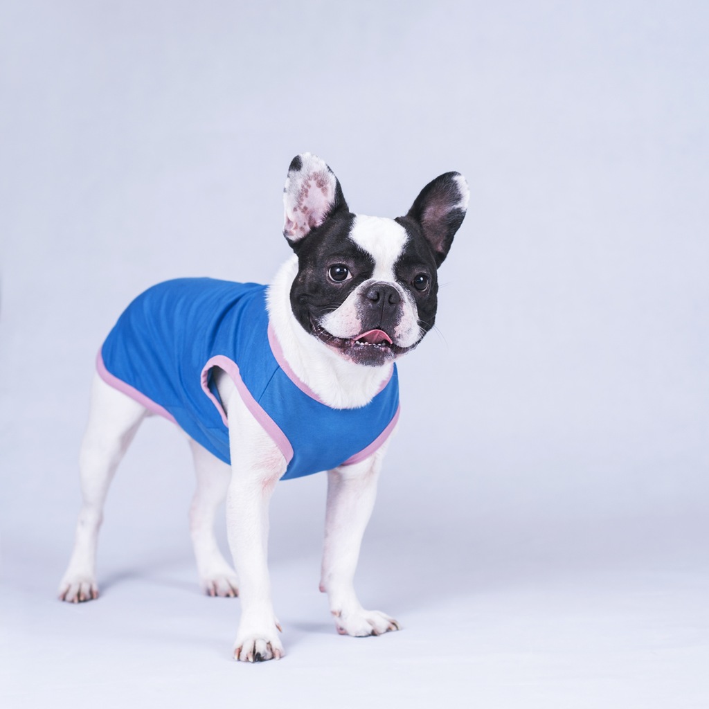Taily| T-shirt dla psa aquamarin z różem XS - L