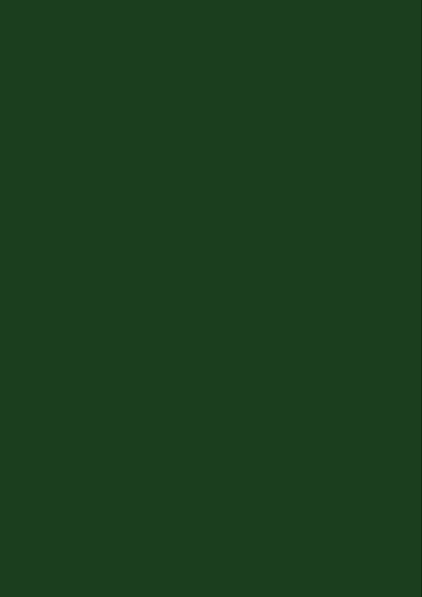TABLICA KREDOWA rysownica 50x70 Zielona Rysownica