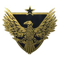 CS:GO Pin Brigadier Gen. Odznaka Generała Brygady