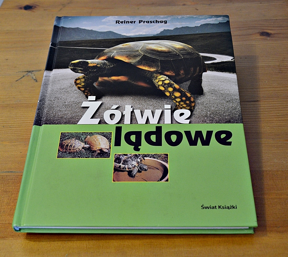 Żółwie lądowe