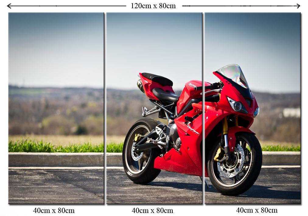 Obraz Motor Motocykl Ścigacz Triumph Daytona 650
