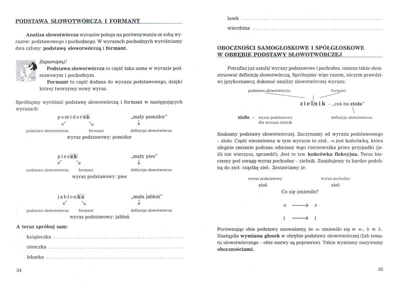 Sprawdzian Z Fonetyki Klasa 4 GRAMATYKA Język Polski Szkoła Podstawowa Gimnazjum - 7436474131