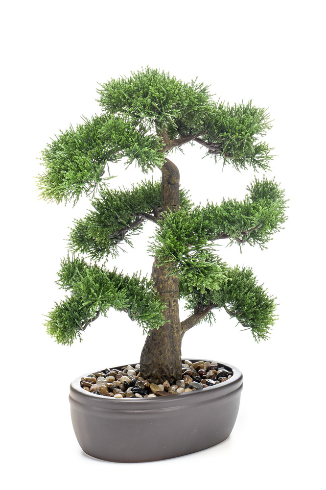sztuczne drzewko BONSAI Cedr 45 cm w doniczce