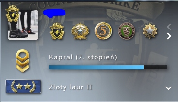 Konto Cs;Go 2000h+Prime+Gold2