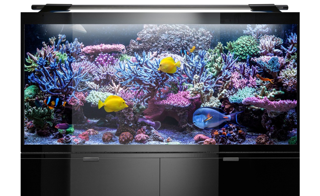 ZESTAW GLOSSY MARINE 120 SET
