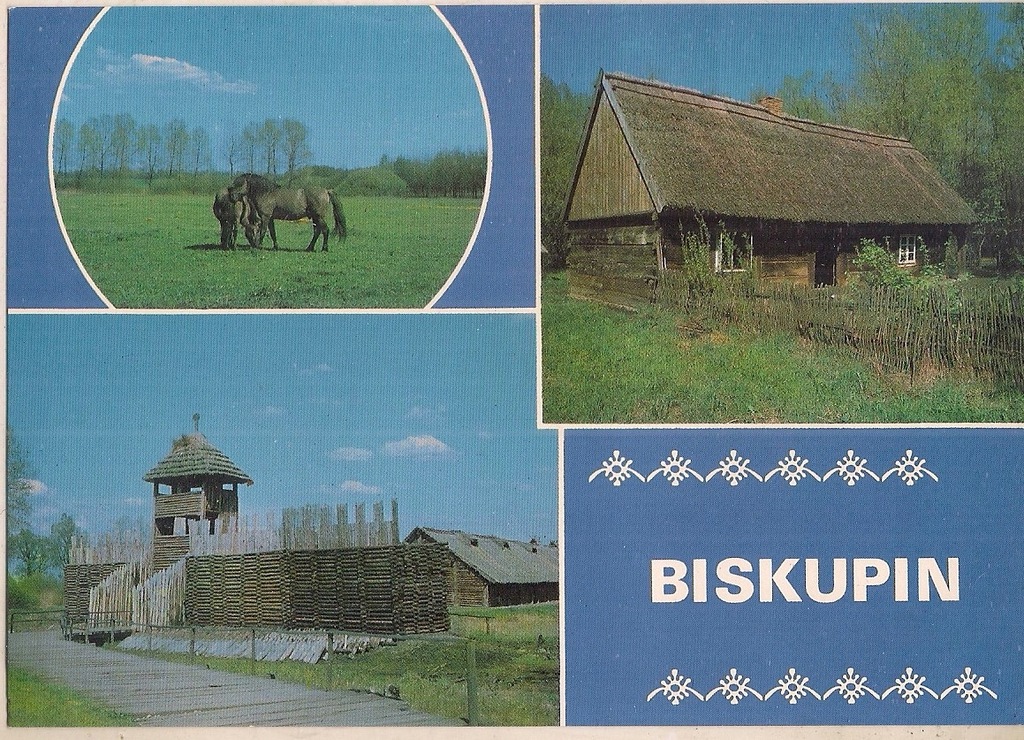 BISKUPIN Osada Chata drewniana Konie Tarpany KAW