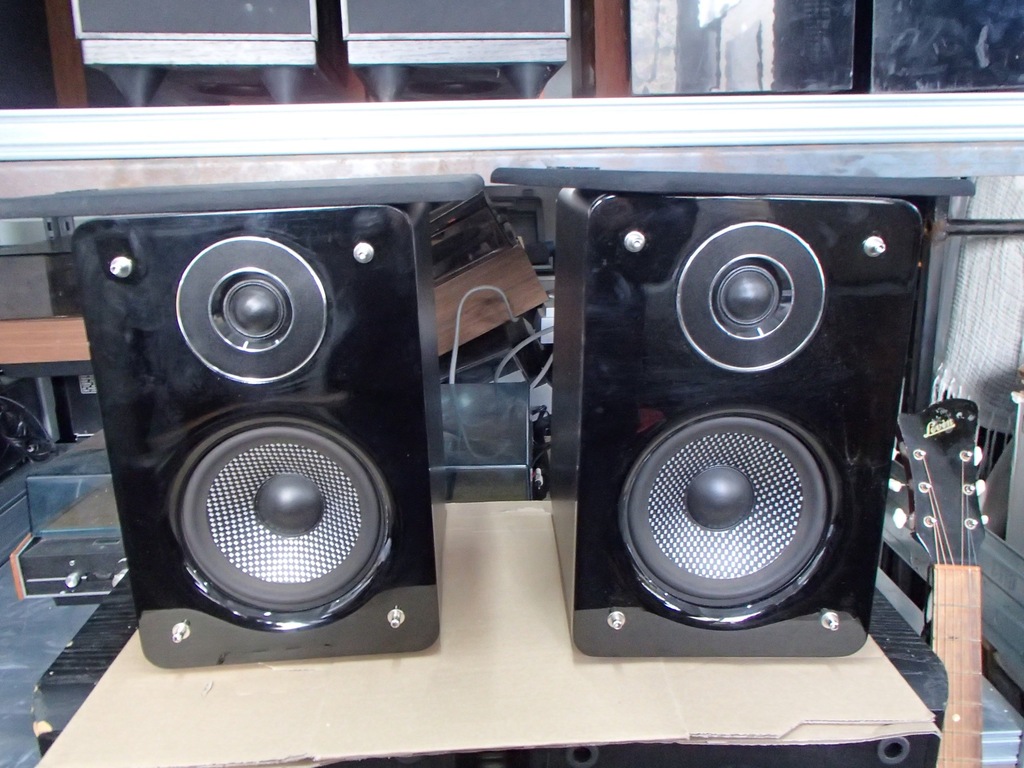 Kolumny aktywne ze wzmacniaczem 100W Plexgear DF1