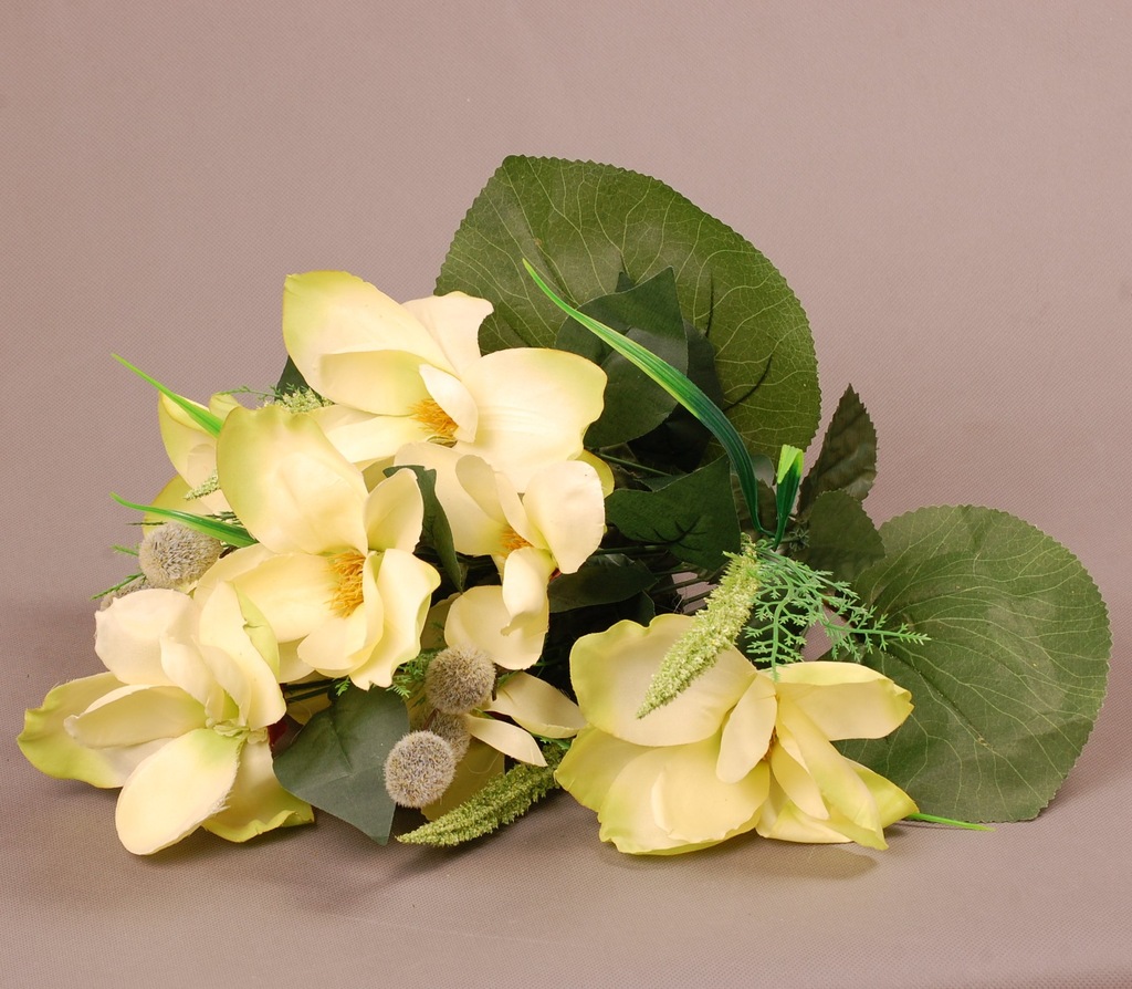 Bukiet magnolii zielonych -Dalia-RP-