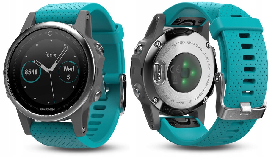 fenix 5s silver