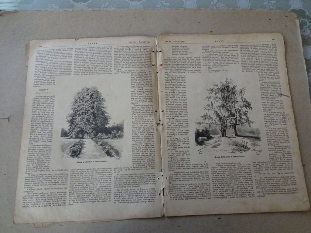 Tuhanowicze - Brzoza Mickiewicza i altana - 1883r