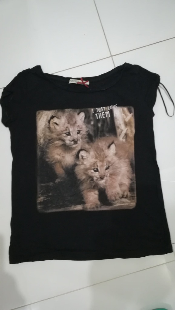 WYPRZEDAŻ SZAFY_Koszulka print  kotki__S (36)
