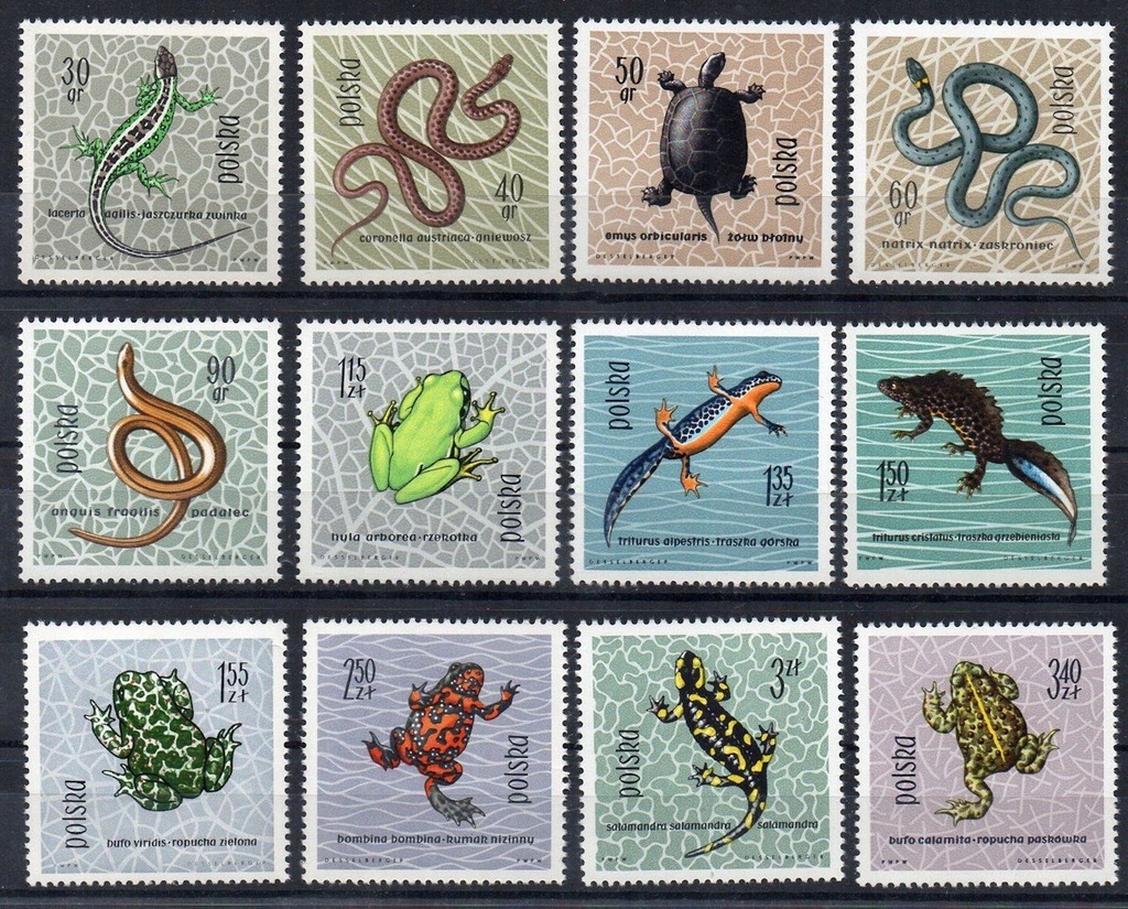 1963 Fi. 1245 - 1256 ** Gady i płazy