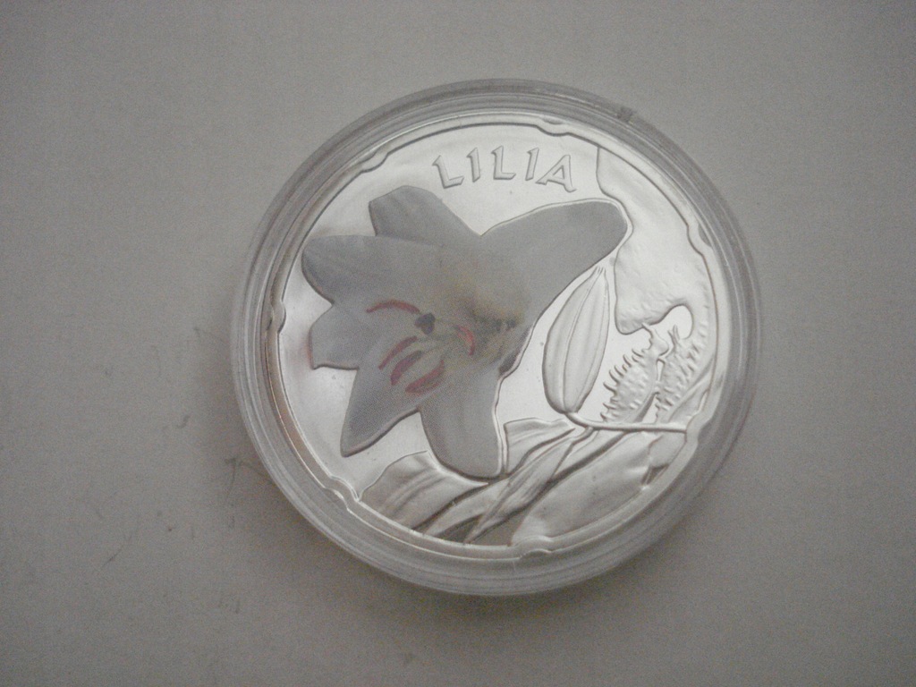 Świat Kwiatów-Lilia-