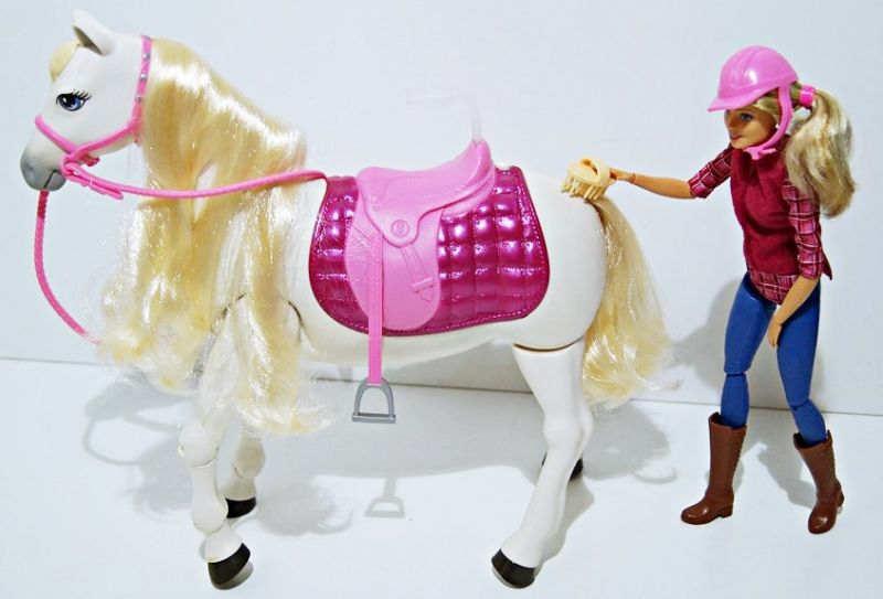 BARBIE INTERAKTYWNY KOŃ + LALKA (FRV36)