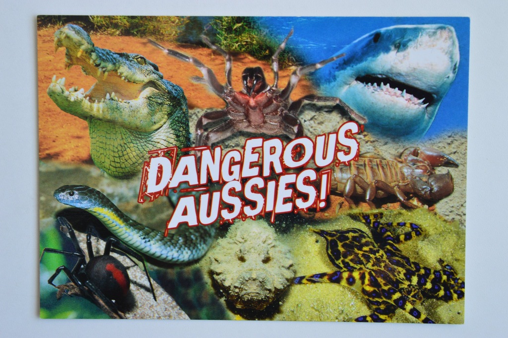 NIEBEZPIECZNE ZWIERZĘTA-  -AUSTRALIA