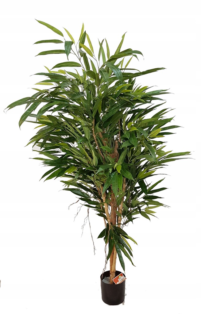 Fikus Longifolia SZTUCZNY - 145 cm