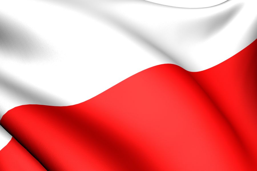 Купить МЕГА Флаг Польские флаги 300х150см. прод.: отзывы, фото, характеристики в интерне-магазине Aredi.ru
