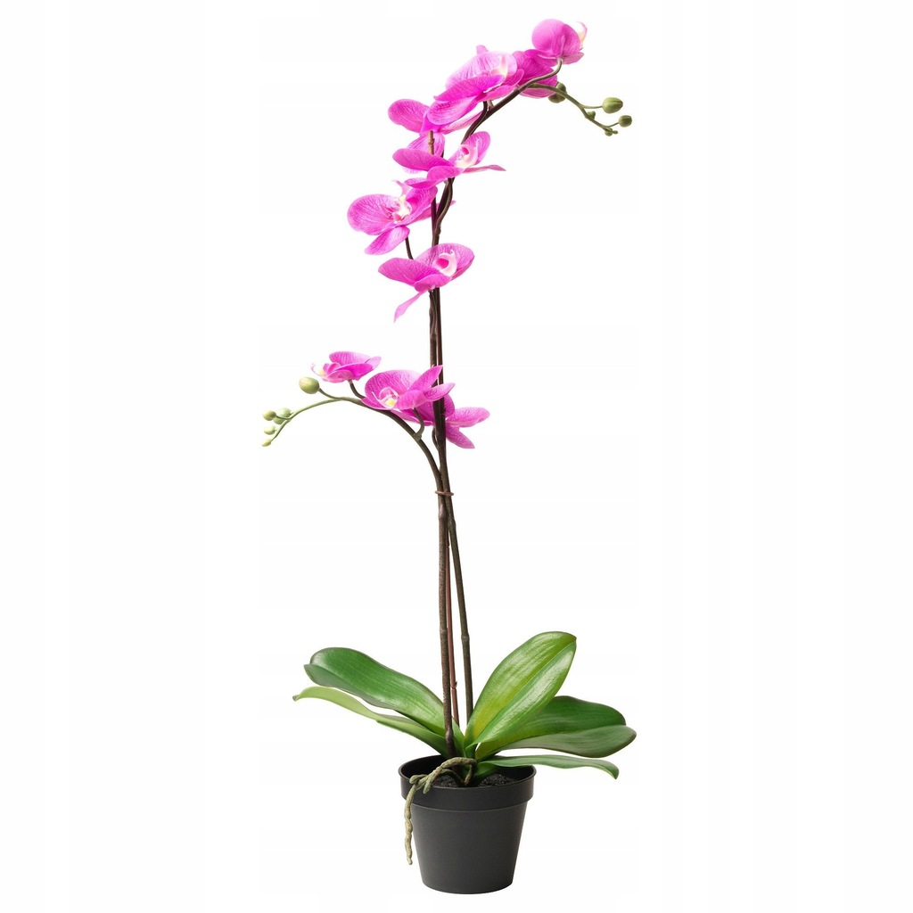 IKEA FEJKA Sztuczna roślina doniczkowa, orchidea r