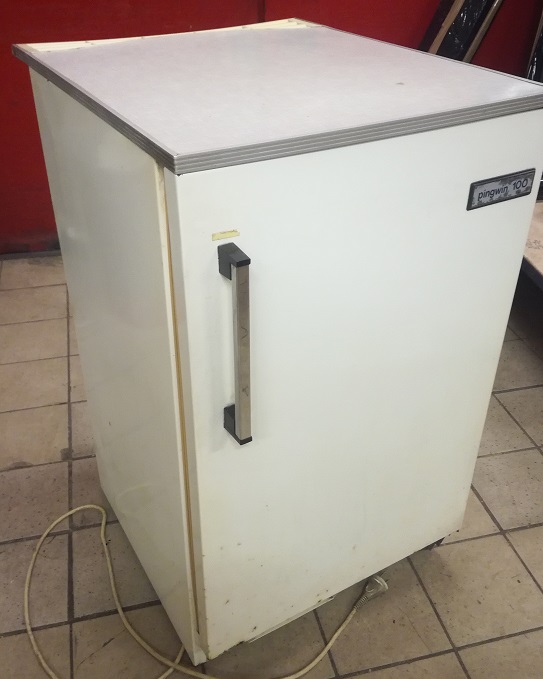 Zamrażarka Polar Pingwin 100