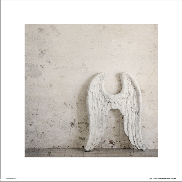 Skrzydła Anioła - plakat premium 40x40 cm