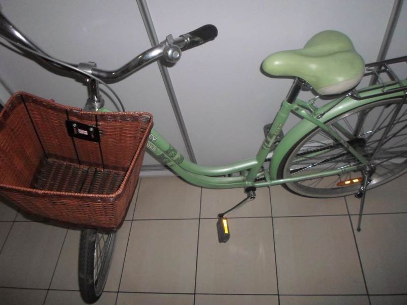 ROWER MIEJSKI DAMSKI TEAMRAIDER BUTTERFLY 26 CALI 7303573633