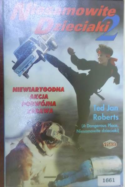 Niesamowite dzieciaki - Ted Jan Roberts VHS