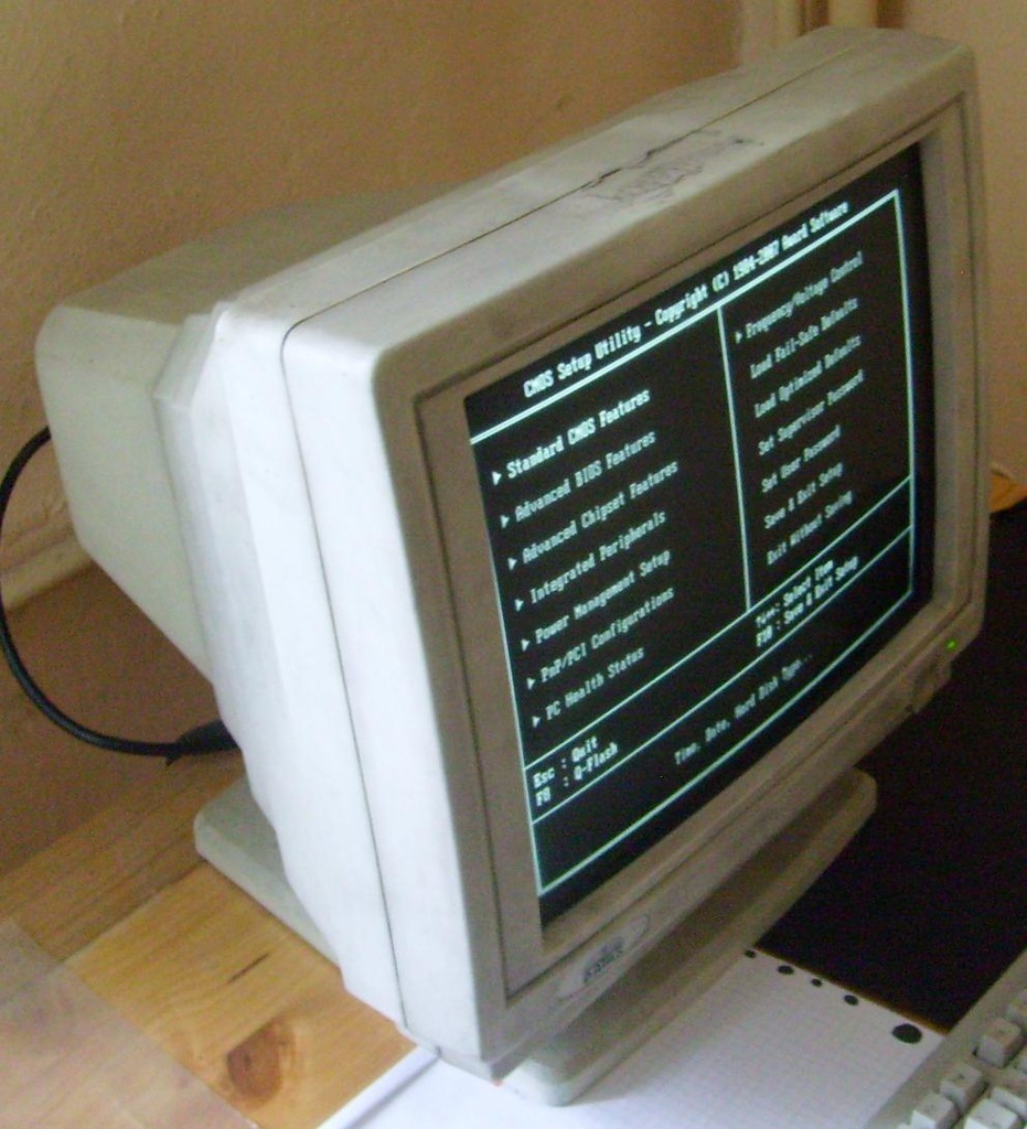 Monitor 14" monochromatyczny 1993r. - zabytek