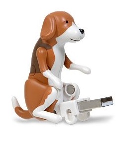 Bzykający PIES świntuch, róhacz pakuje USB ZABAWNE