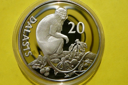 20 DALASIS GAMBIA -MAŁPA GEREZA RUDA- SREBRO 925