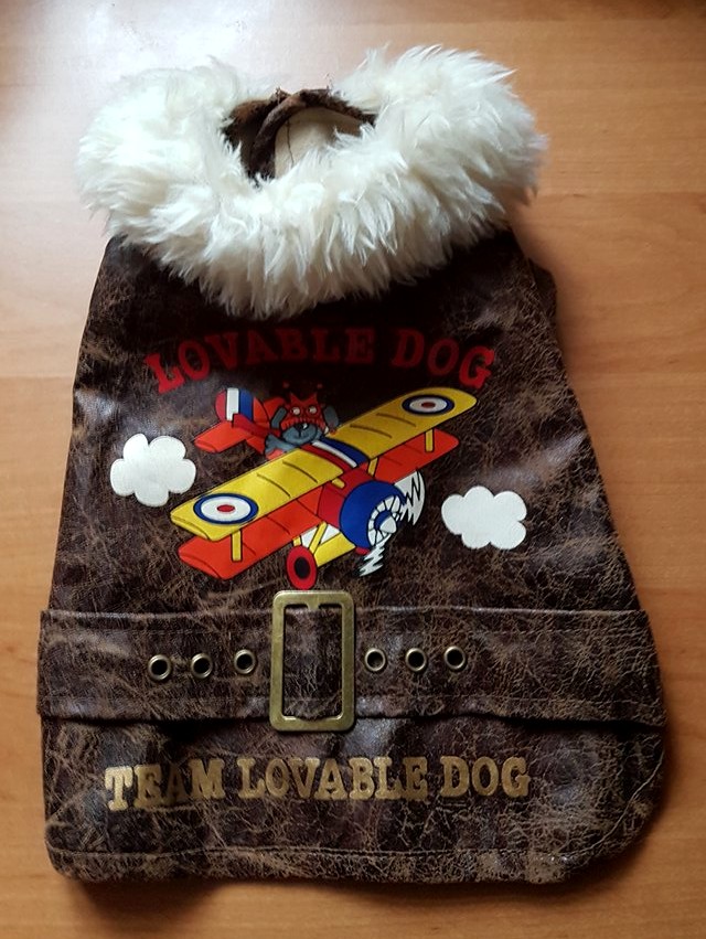 Ubranko dla psa S Lovable Dog